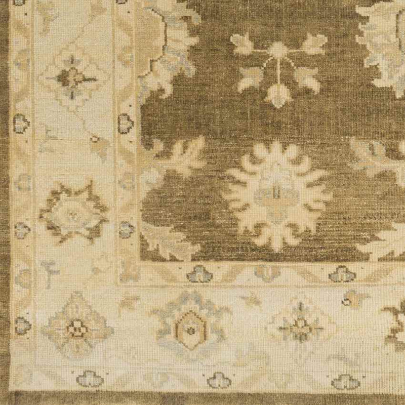 Hiltonia Traditional Beige/Gold Area Rug