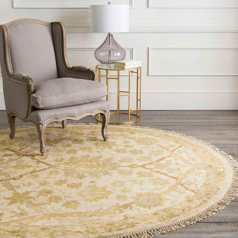 Hoboken Traditional Gold Area Rug