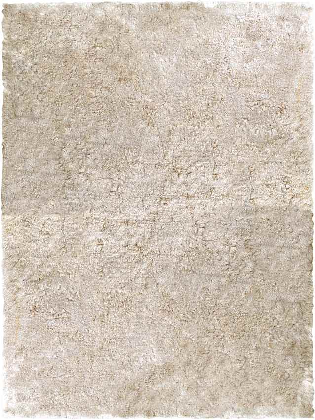 Villiers Modern Ivory Area Rug