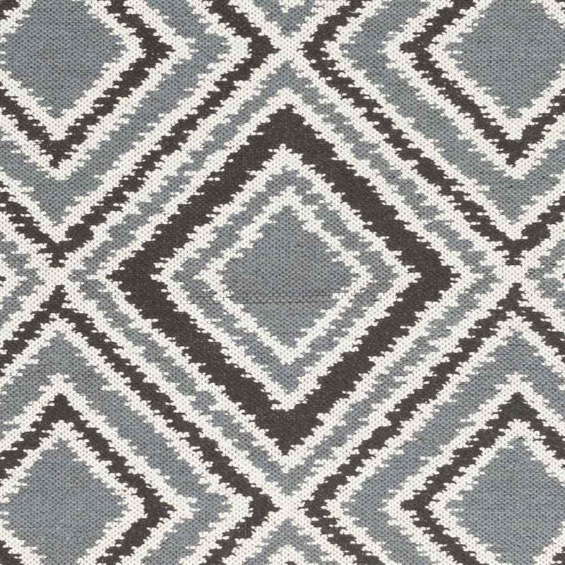 Holyoke Modern Pewter & Jet Black Area Rug