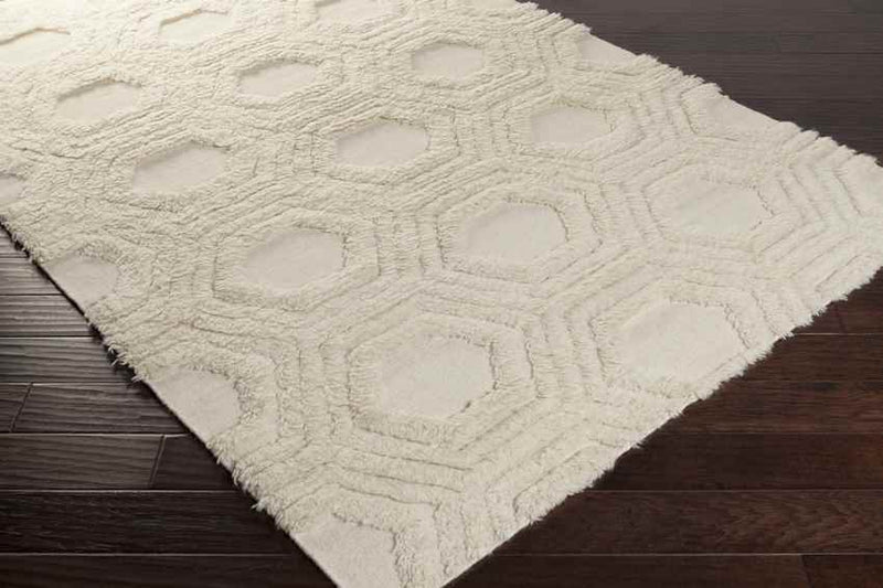 Hytop Modern Ivory Area Rug