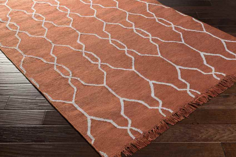 Tange Modern Burnt Orange Area Rug