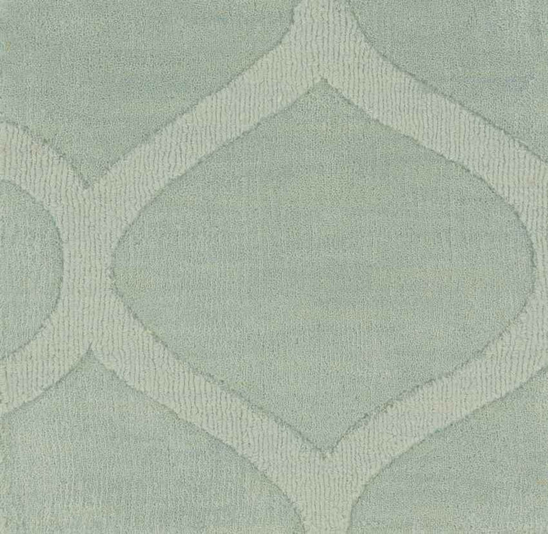 Vulcan Modern Sage Area Rug