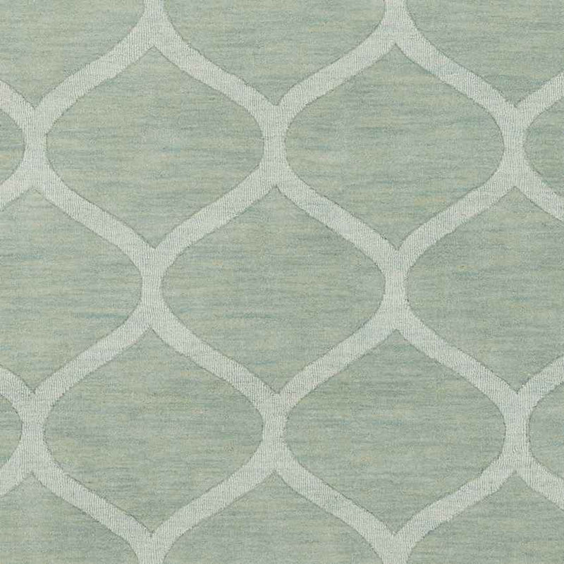 Vulcan Modern Sage Area Rug