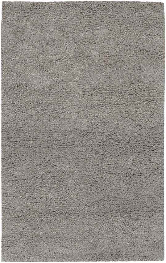 Manassas Modern Gray Area Rug