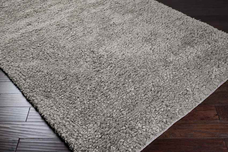 Manassas Modern Gray Area Rug