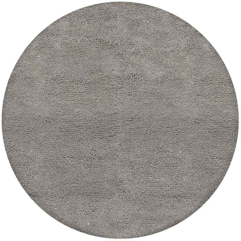 Manassas Modern Gray Area Rug