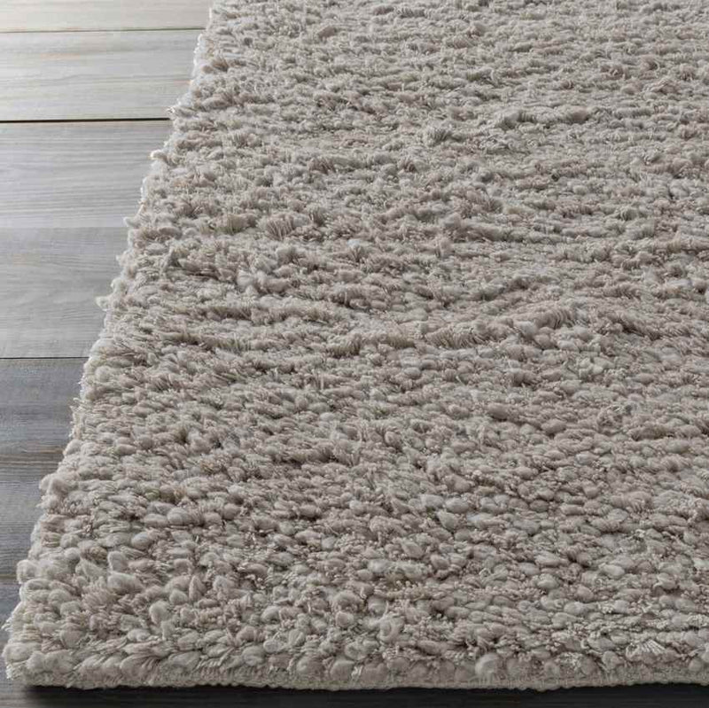 Manassas Modern Gray Area Rug