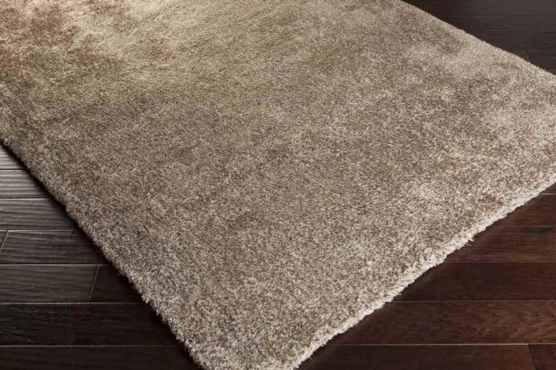 Modesto Modern Beige Area Rug