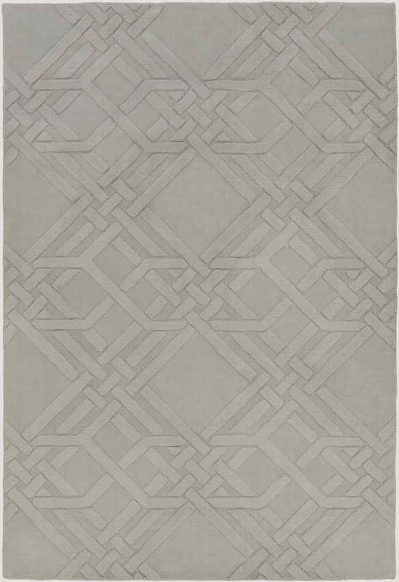 Mosses Modern Light Gray/Slate Area Rug