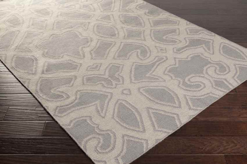 Ophir Modern Light Gray Area Rug