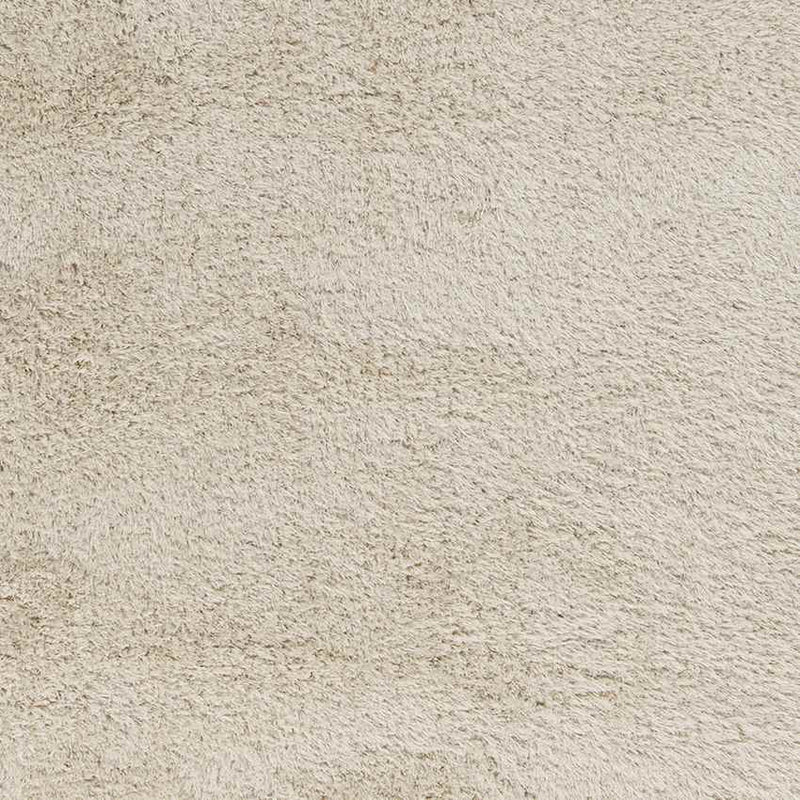 Brampton Modern Beige Area Rug