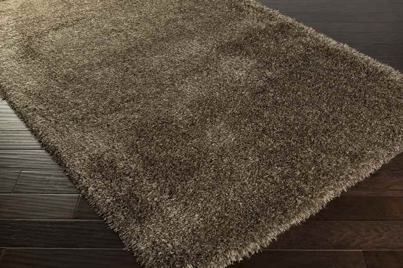 Brampton Modern Brown Area Rug