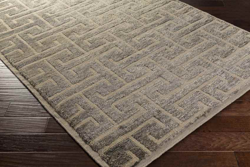 Pennington Global Gray Area Rug