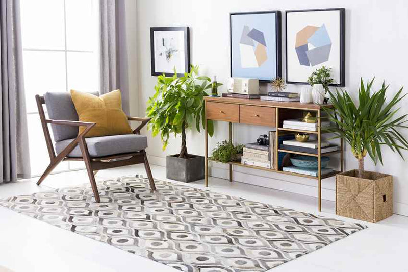 Bideford Modern Medium Gray Area Rug