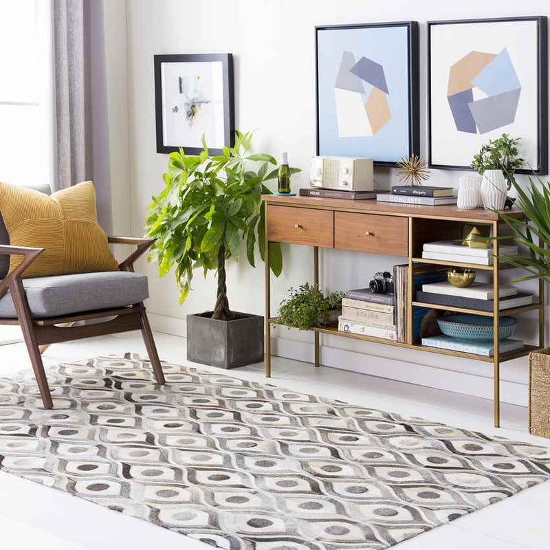 Bideford Modern Medium Gray Area Rug