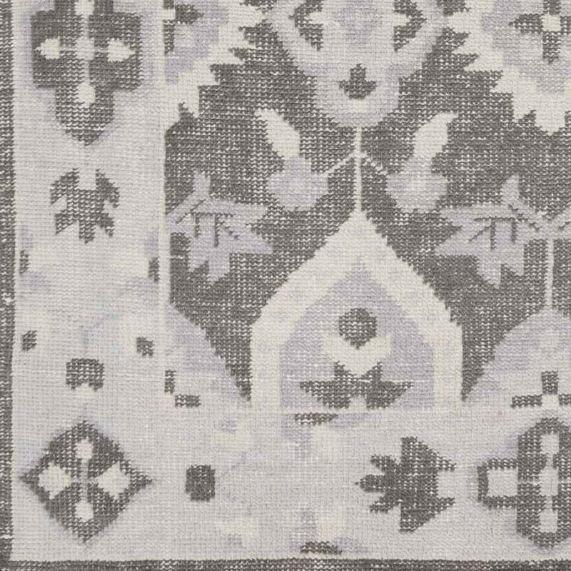 Plainville Traditional Charcoal Area Rug