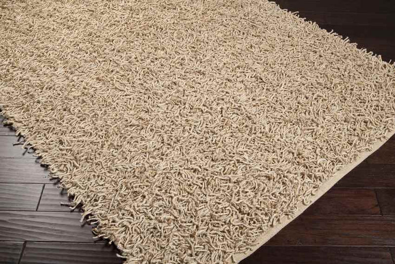 Platteville Modern Bleach Area Rug