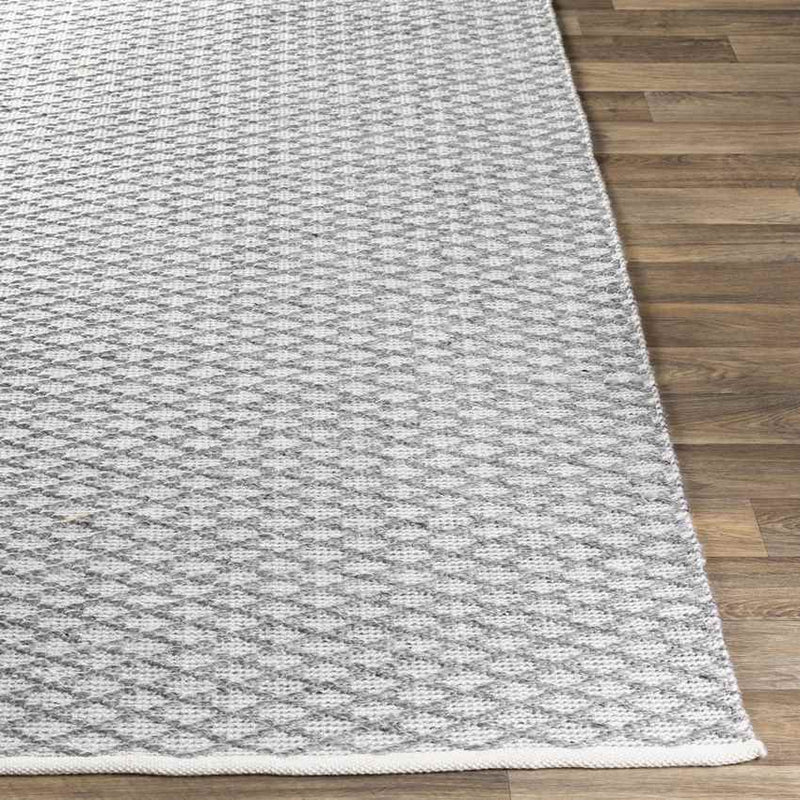 Blyth Modern Medium Gray Area Rug