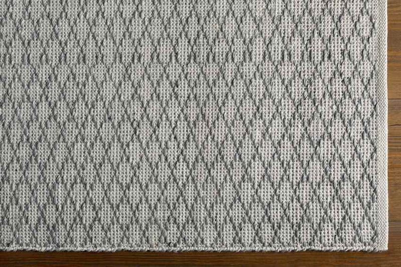 Blyth Modern Medium Gray Area Rug