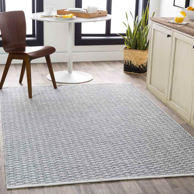 Blyth Modern Medium Gray Area Rug