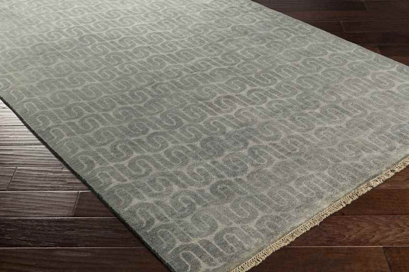 Safford Modern Gray Area Rug