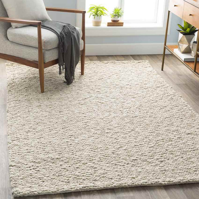 Braintree Modern Beige Area Rug