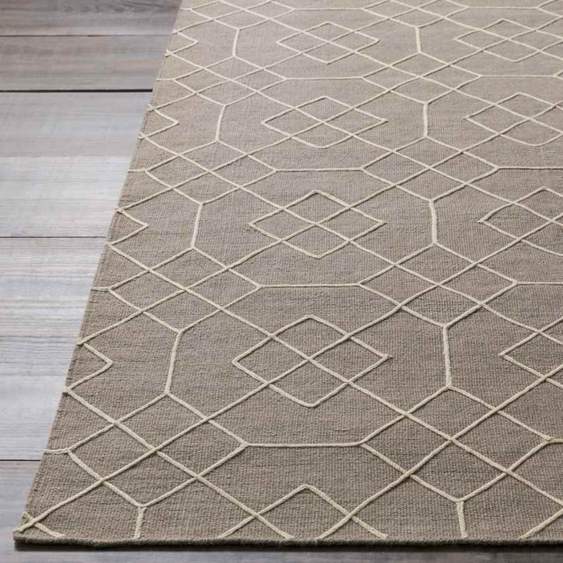 Salesville Modern Beige Area Rug