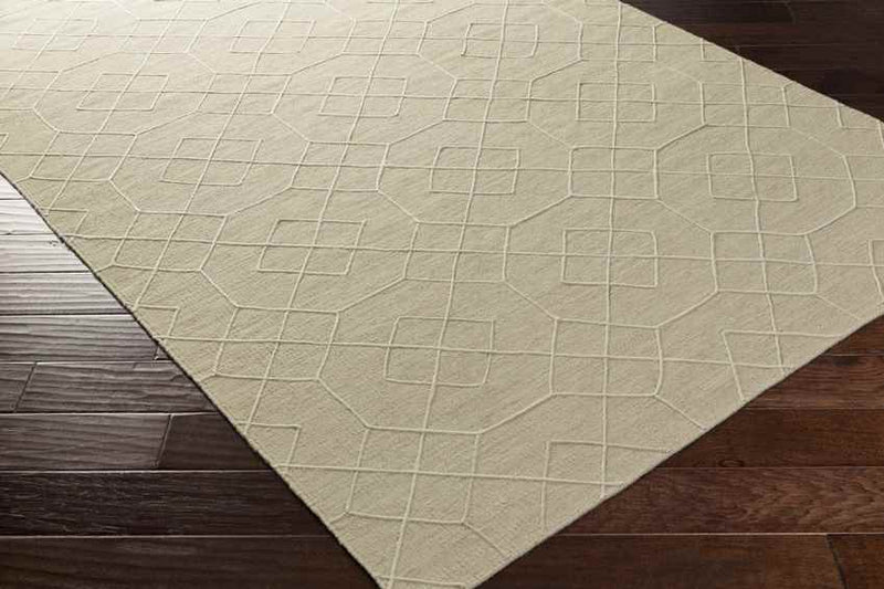 Salesville Modern Ivory Area Rug