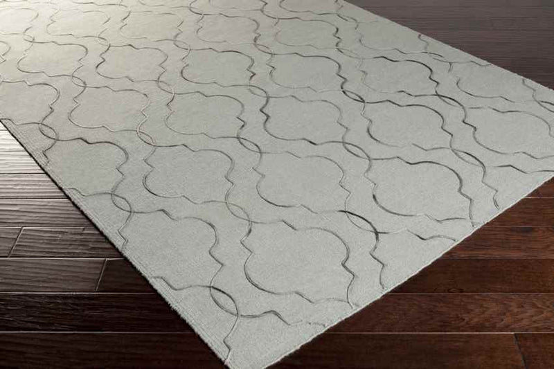 Salinas Modern Light Gray Area Rug