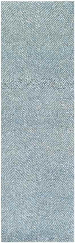 Brigg Modern Sky Blue Area Rug