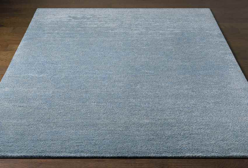 Brigg Modern Sky Blue Area Rug