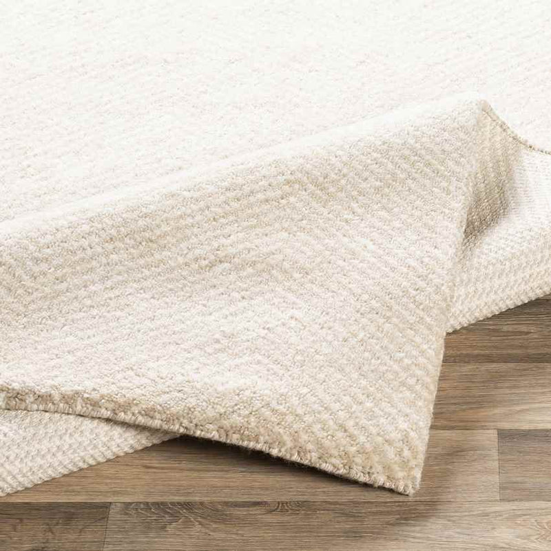 Brigg Modern Beige Area Rug