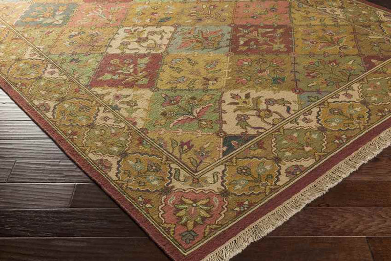 Success Traditional Brown/Neutral Area Rug