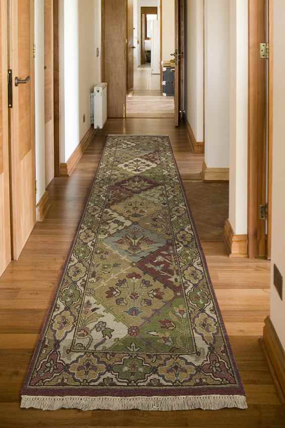 Success Traditional Brown/Neutral Area Rug