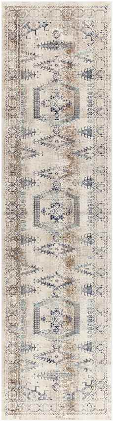 Burford Traditional Aqua Area Rug