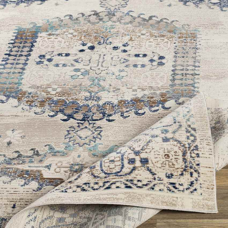 Burford Traditional Aqua Area Rug