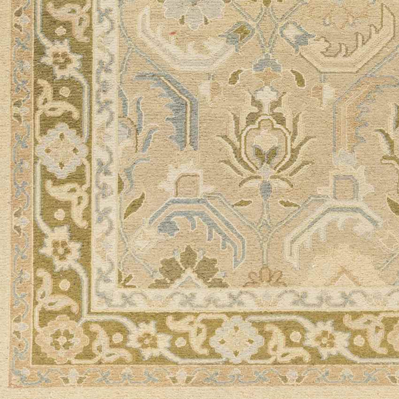 Sylvan Traditional Coral/Ivory/Oatmeal Area Rug