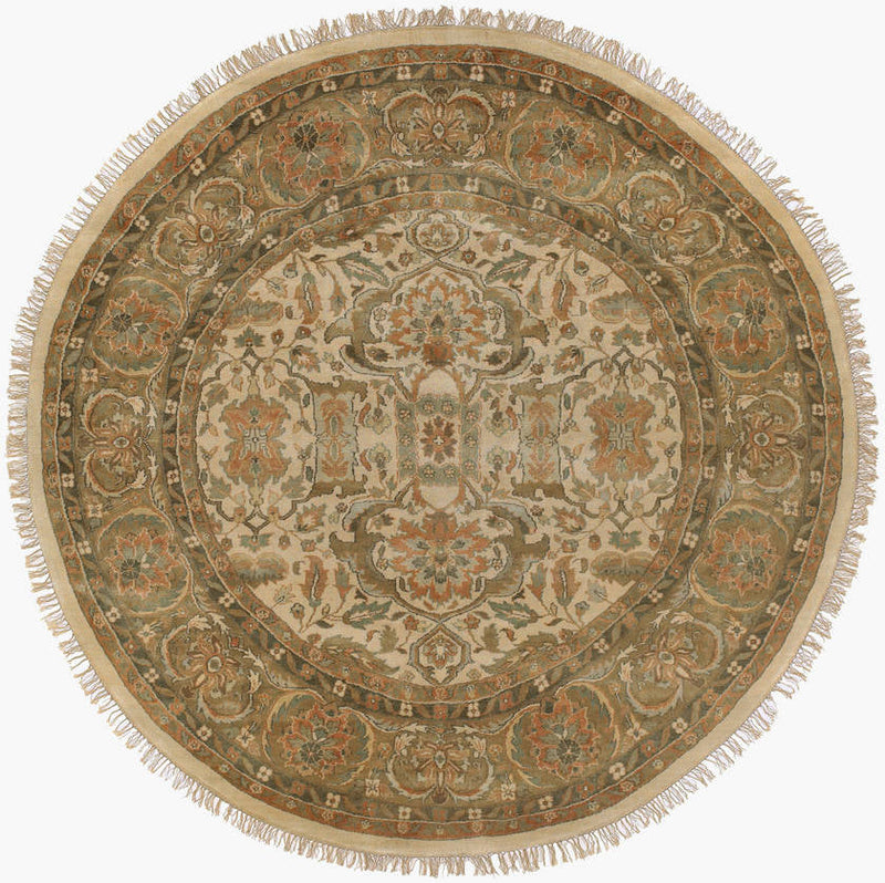 Walnut Traditional Beige Area Rug