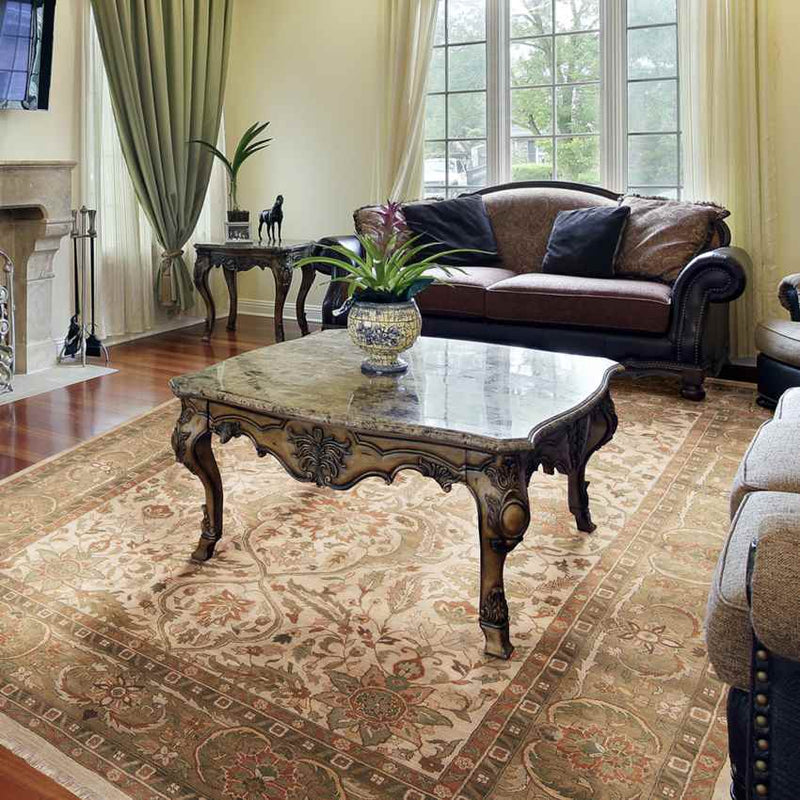 Walnut Traditional Beige Area Rug