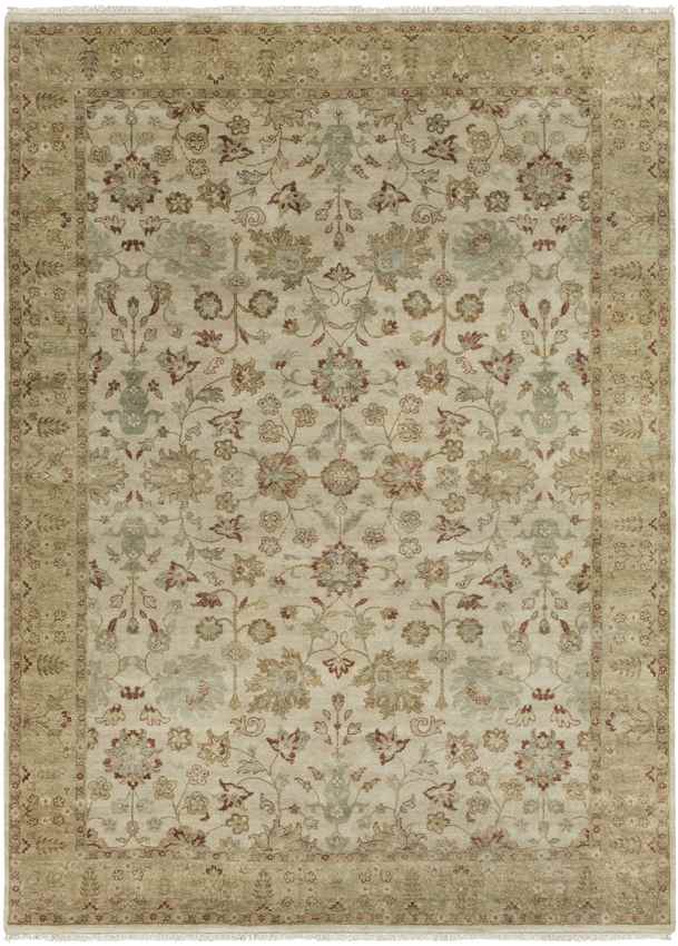 Waterbury Traditional Dark Beige Area Rug