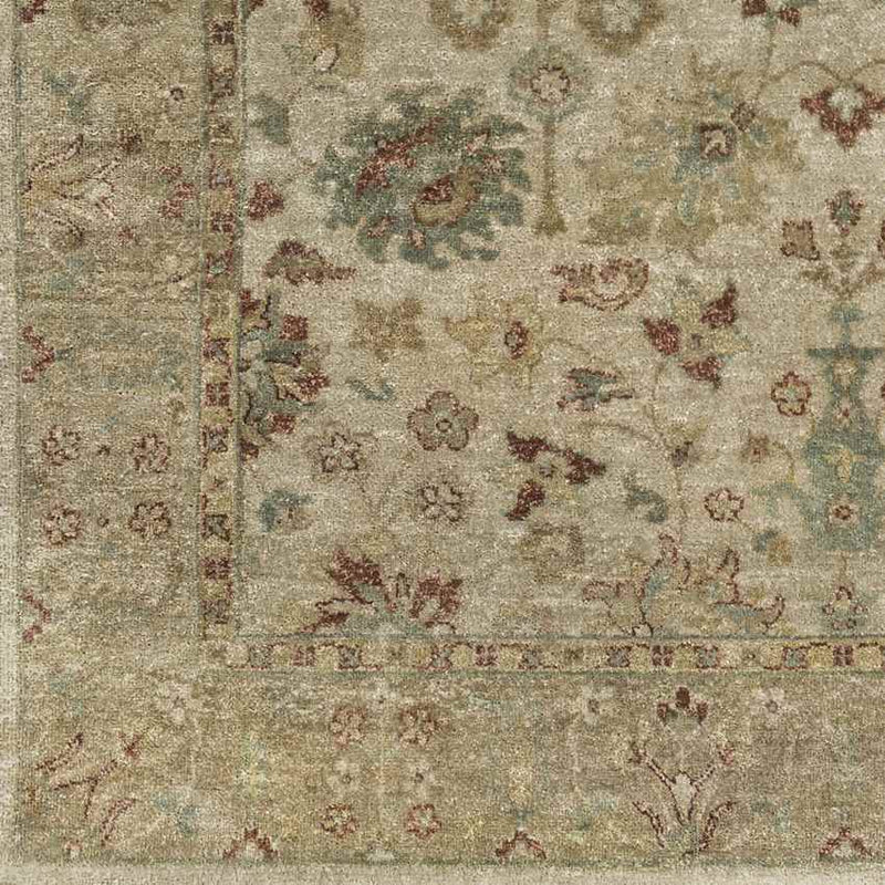 Waterbury Traditional Dark Beige Area Rug