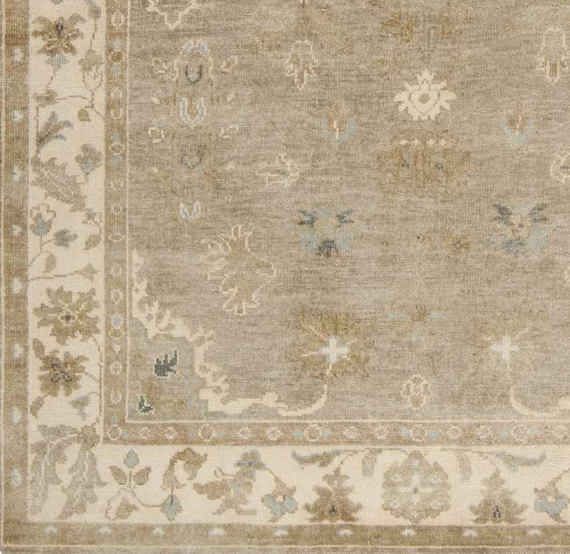 Weldon Traditional Beige Area Rug