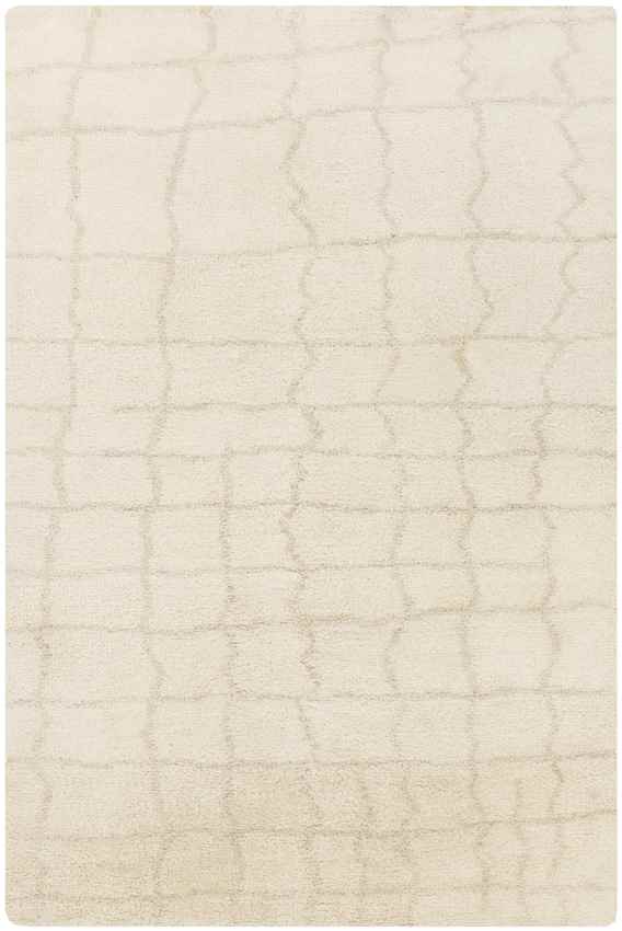 Wynne Modern Beige Area Rug