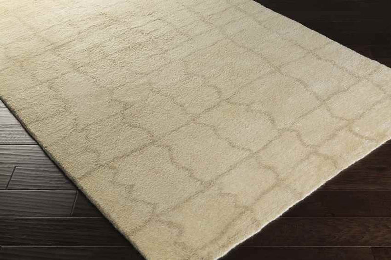 Wynne Modern Beige Area Rug