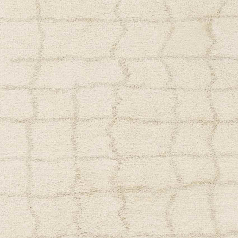 Wynne Modern Beige Area Rug