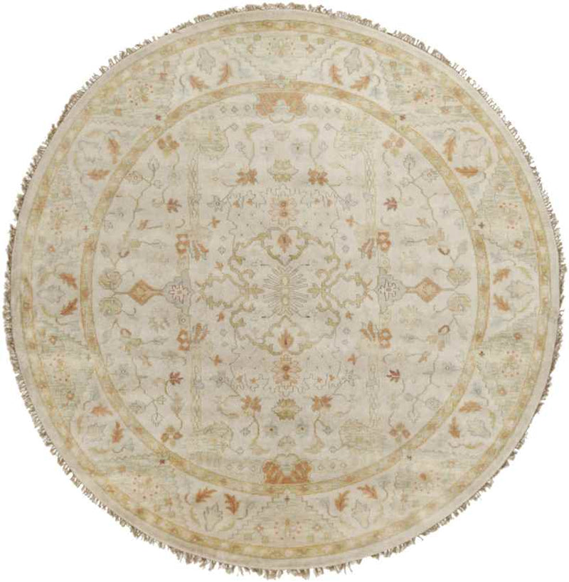 Bellwood Traditional Light Gray Area Rug