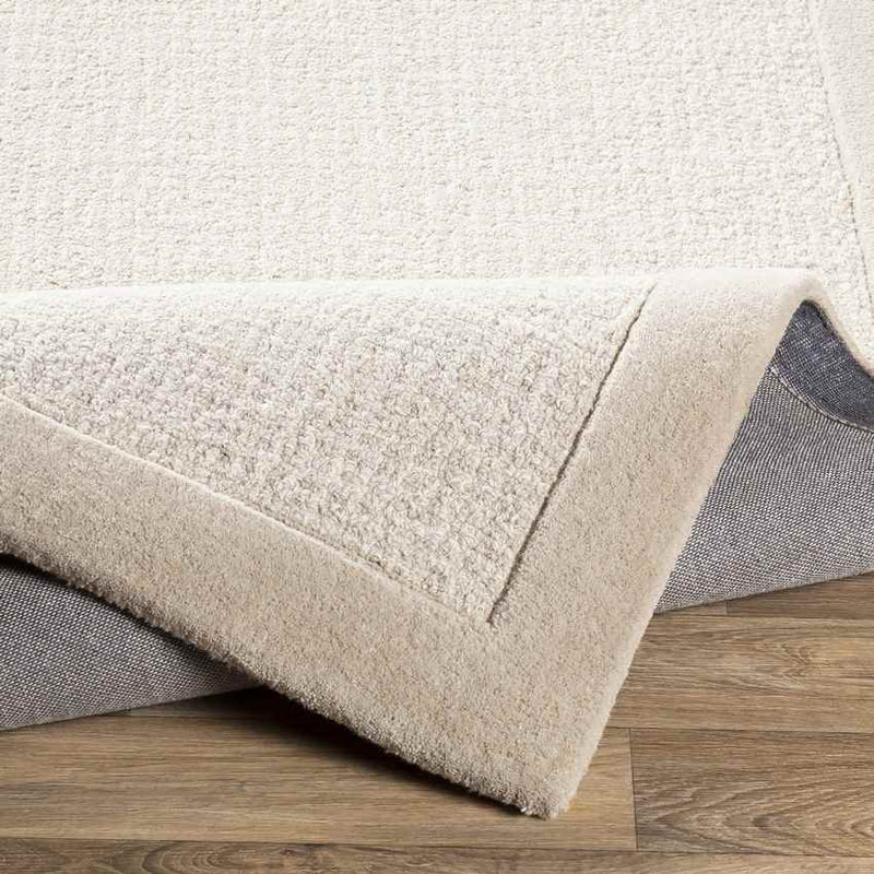 Earby Modern Light Gray Area Rug