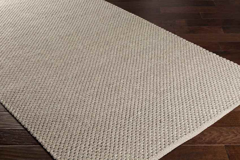 Erith Modern Light Gray Area Rug