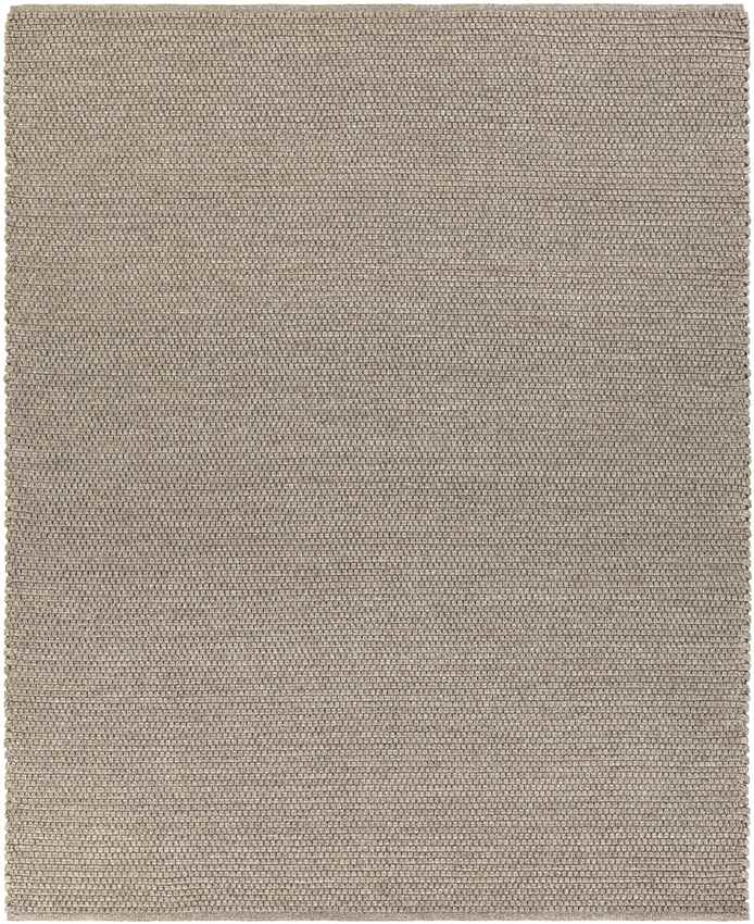 Erith Modern Light Gray Area Rug